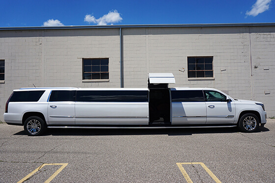 18-passenger limousine